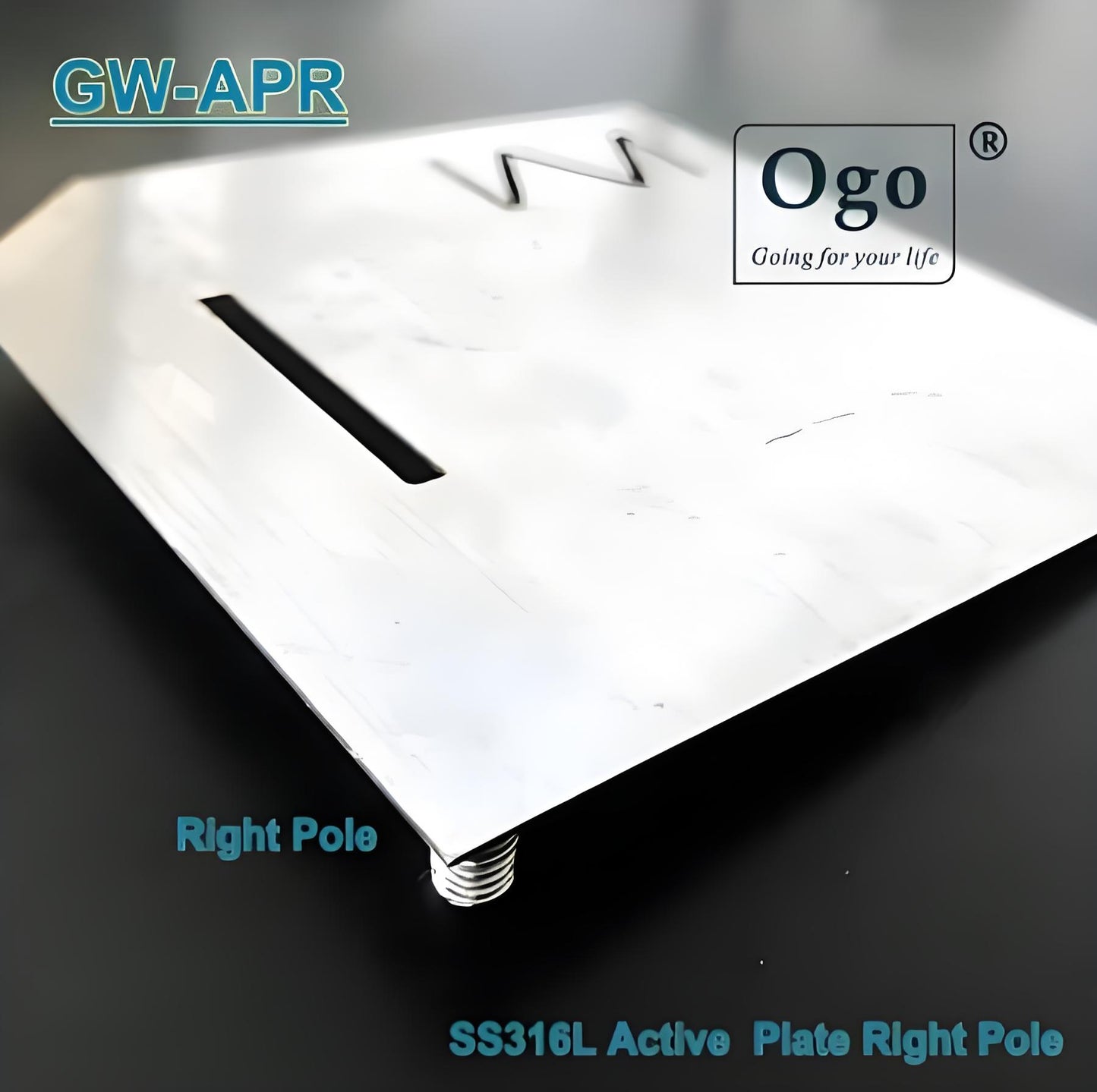 316L Stainless steel Plates for OGO HHO Dry Cell GW Series Active Plate Pair